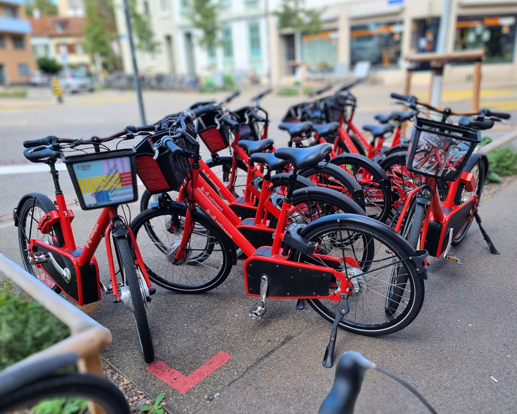 Über das sture Festhalten an offensichtlich Misslungenem Prime News